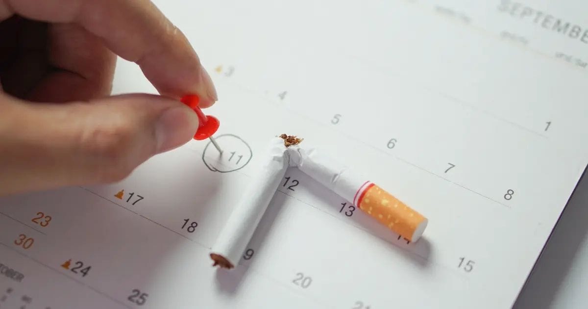 Chemical Impact of Smoking on Arteries